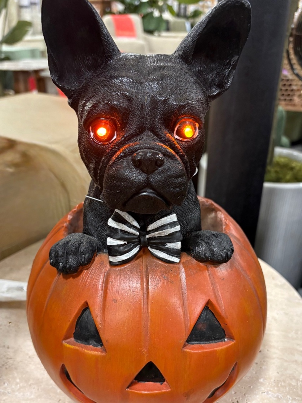 HTF Halloween Frenchie French Bulldog in Pumpkin Eyes Light Up Statue Decor